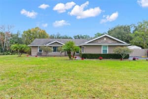 8261 SYCAMORE DRIVE, NEW PORT RICHEY, FL 34654 Sold 05/14/24