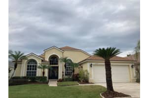 13534 WHITE ELK LOOP, TAMPA, FL 33626 Sold 04/04/24