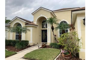 13534 WHITE ELK LOOP, TAMPA, FL 33626 Sold 04/04/24