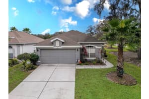 9240 CREEDMOOR LANE, NEW PORT RICHEY, FL 34654 Sold 11/07/24