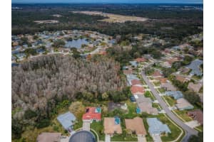 5917 WILLOW CREEK COURT, NEW PORT RICHEY, FL 34655 Sold 04/26/24
