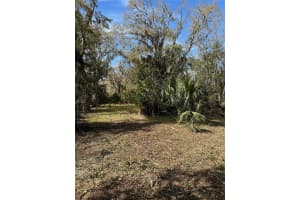 0 YONTZ ROAD, BROOKSVILLE, FL 34601 - MLS#MFRW7861632