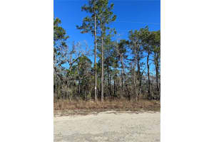 0 SEATTLE WREN AVENUE, WEEKI WACHEE, FL 34614 Sold 01/28/25