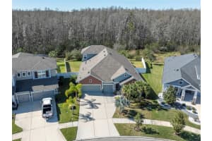 15380 AVILES PARKWAY, ODESSA, FL 33556 Sold 05/30/24