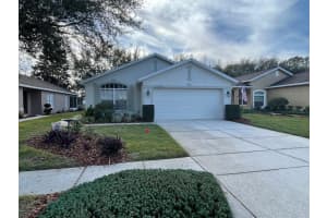 11736 NEW HAVEN DRIVE, SPRING HILL, FL 34609 Sold 06/28/24