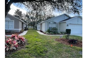 11736 NEW HAVEN DRIVE, SPRING HILL, FL 34609 Sold 06/28/24