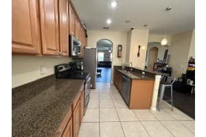 10144 ARBOR RUN DRIVE, TAMPA, FL 33647 Sold 09/10/24