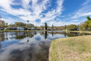 4244 ROTHERHAM COURT, PALM HARBOR, FL 34685 Sold 04/26/24
