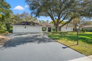 4288 RIVER BIRCH DRIVE, SPRING HILL, FL 34607 Sold 04/08/24
