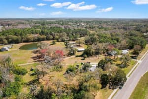 5830 ROWAN ROAD, NEW PORT RICHEY, FL 34653 Sold 10/18/24