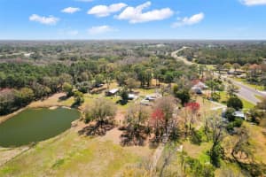 5830 ROWAN ROAD, NEW PORT RICHEY, FL 34653 Sold 10/18/24
