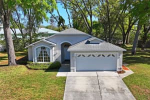 8715 WHITE SPRINGS DRIVE, NEW PORT RICHEY, FL 34655 Sold 06/18/24