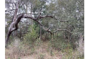 0 PURDUE STREET, NEW PORT RICHEY, FL 34654 - MLS#MFRW7862091