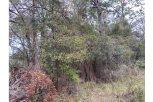 0 PURDUE STREET, NEW PORT RICHEY, FL 34654 - MLS#MFRW7862091