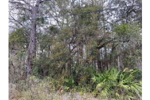 0 PURDUE STREET, NEW PORT RICHEY, FL 34654 - MLS#MFRW7862091
