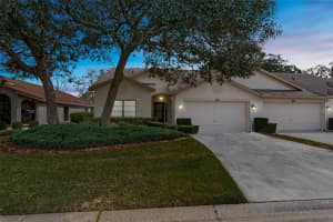 438 CANDLESTONE COURT, SPRING HILL, FL 34609 Sold 04/10/24