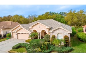 1129 HAGEN DRIVE, TRINITY, FL 34655 Sold 05/01/24