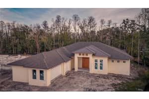 3950 COVE LAKE PLACE, LAND O LAKES, FL 34639 Sold 01/17/25