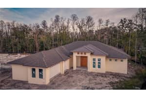 3950 COVE LAKE PLACE, LAND O LAKES, FL 34639 Sold 01/17/25
