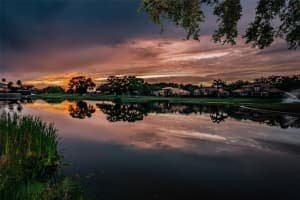 1031 TOSCANO DRIVE, TRINITY, FL 34655 Sold 03/03/25