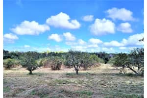 0 NORTH AVENUE, BROOKSVILLE, FL 34601 - MLS#MFRW7863014