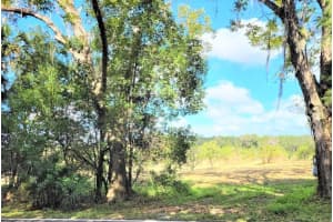 0 NORTH AVENUE, BROOKSVILLE, FL 34601 - MLS#MFRW7863014