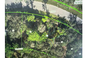 ESTELLE, NEW PORT RICHEY, FL 34654 - MLS#MFRW7863399