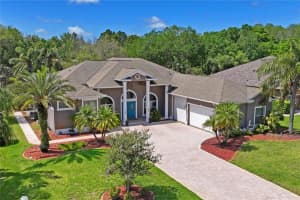 6511 ALCESTER DRIVE, NEW PORT RICHEY, FL 34655 Sold 11/08/24