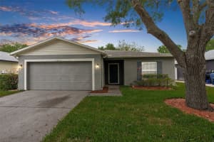 13733 VANDERBILT ROAD, ODESSA, FL 33556 Sold 04/25/24