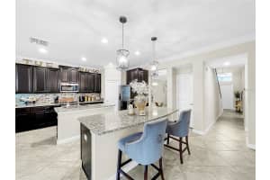 11907 CINNAMON FERN DRIVE, RIVERVIEW, FL 33579 Sold 05/13/24