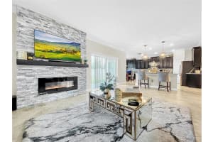 11907 CINNAMON FERN DRIVE, RIVERVIEW, FL 33579 Sold 05/13/24