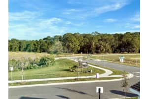 9522 EMERALD BERRY DRIVE, WINTER GARDEN, FL 34787 Sold 10/14/24