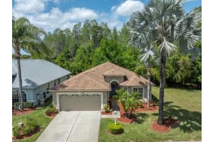 12043 YELLOW FINCH LANE, TRINITY, FL 34655 Sold 07/29/24