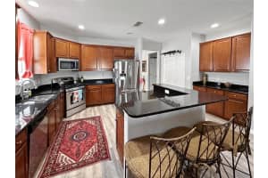 19555 SUNSET BAY DRIVE, LAND O LAKES, FL 34638 Sold 07/30/24