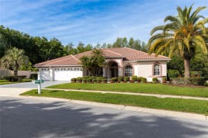 21312 PRESERVATION DRIVE, LAND O LAKES, FL 34638 - MLS#MFRW7863643