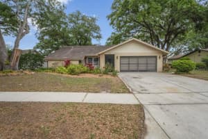 8649 WHITE SPRINGS DRIVE, NEW PORT RICHEY, FL 34655 Sold 05/31/24