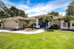 10282 WINDSOR COURT, SPRING HILL, FL 34608 Sold 06/07/24