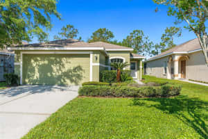 3211 BANYAN HILL LANE, LAND O LAKES, FL 34639 Sold 04/23/25