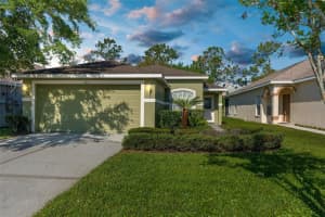 3211 BANYAN HILL LANE, LAND O LAKES, FL 34639 Sold 04/23/25