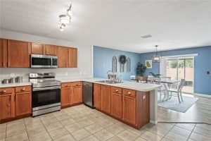13619 FAREHAM ROAD, ODESSA, FL 33556 Sold 06/06/24