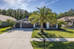 16716 IVY LAKE DRIVE, ODESSA, FL 33556 Sold 07/10/24