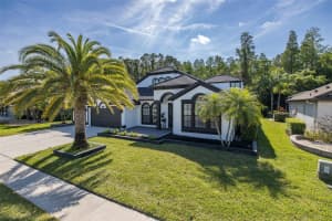 16716 IVY LAKE DRIVE, ODESSA, FL 33556 Sold 07/10/24