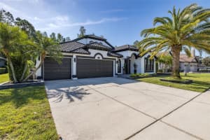 16716 IVY LAKE DRIVE, ODESSA, FL 33556 Sold 07/10/24