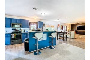 9809 PASSAIC DRIVE, HUDSON, FL 34667 Sold 11/15/24