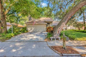 10322 TURKEY OAK DRIVE, NEW PORT RICHEY, FL 34654 Sold 09/06/24