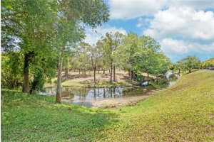12537 GREYLOCK LANE, HUDSON, FL 34667 Sold 11/04/24