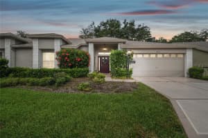 18031 BAYWOOD FOREST DRIVE, HUDSON, FL 34667 Sold 06/24/24