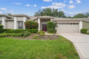 18031 BAYWOOD FOREST DRIVE, HUDSON, FL 34667 Sold 06/24/24