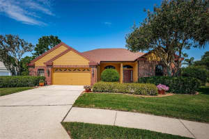 8137 SILVER MIST PLACE, TRINITY, FL 34655 Sold 09/16/24