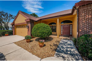 8137 SILVER MIST PLACE, TRINITY, FL 34655 Sold 09/16/24